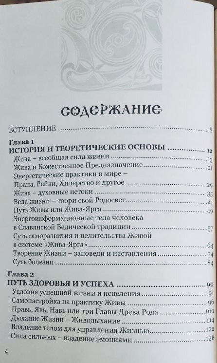 Жива. Как стать здоровым и успешным, используя энергию Вселенной. Владимир Куровский. Мягкая обложка. Жива. Как стать здоровым и успешным, используя энергию Вселенной. Владимир Куровский. Мягкая обложка.
